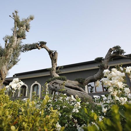 Terra Di Venera Villa Santa Venerina Exterior photo